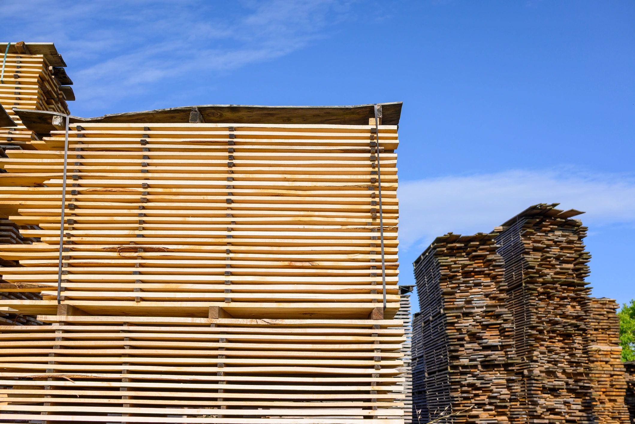 Stacks of structural lumber at a building materials yard